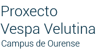 Proxecto Vespa Velutina Ourense